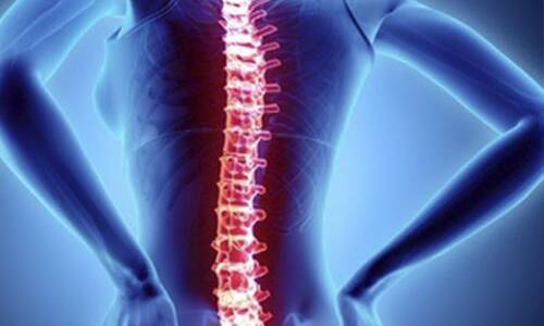 fisioterapia-lesion-columna fisioterapia-lesion-columna